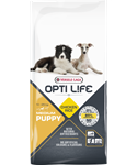 Evenwichtige puppyvoeding – kip – middelgroot ras 13kg - Afbeelding 2