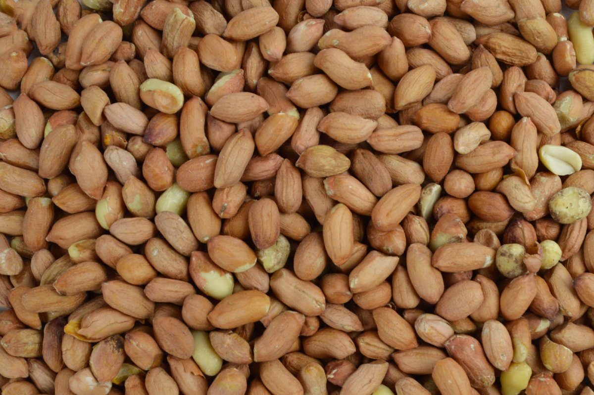 PINDA’S / GEPELDE ARACHIDENOTEN zak 5 kg - Afbeelding 4